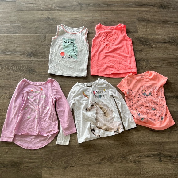 Cat & Jack Other - 2/$20 Girls 5T bundle cat & jack, carters, okie dokie 5 shirts Short long sleeve